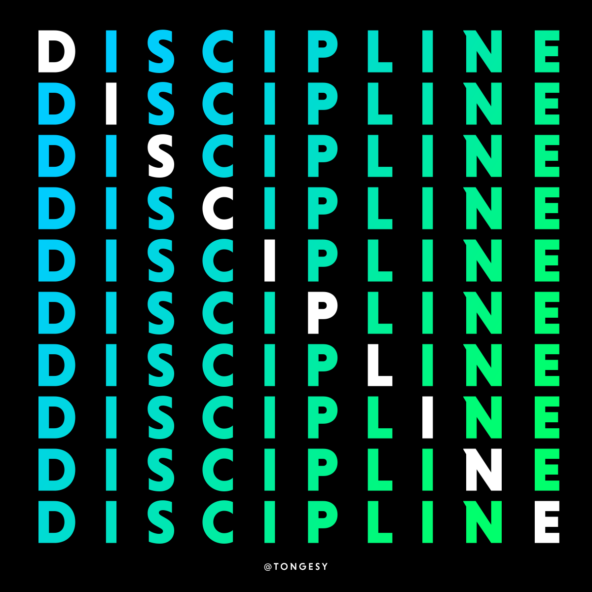 Discipline Wins